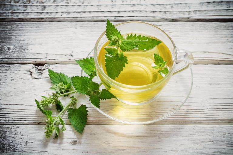 Kräuter und Kräutertees – Eigenschaften: Lakritze, Breitblättriger Thymian, Melisse, Minze, Maulbeere, Brennnessel, Kamille, Schachtelhalm, Salbei und Erdbeere